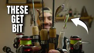 The Ice Fishing Lures That Always Work