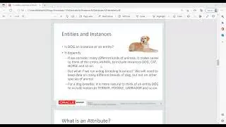 Entities, Instances, Attributes, and Identifiers