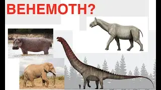 WHAT IS THE BEHEMOTH IN THE BIBLE???