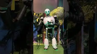 The Wild Robot Photo Op Display