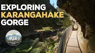 Exploring Karangahake Gorge & Waihi Beach