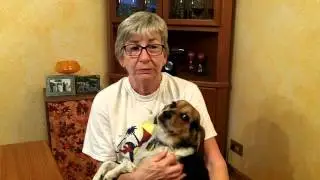 Wheaton Animal Hospital Veterinary Client Testimonial - Louise with her pet beagle