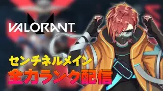 【Valorant】元プラチナさん、シルバーの荒波に揉まれてもみもみされてしまう【Vtuber】