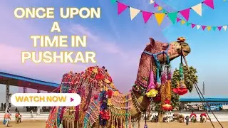 Pushkar in One Day &ndash; Desert Safari, Ghats, Brahma Temple & ETV Adventure! | India Travel Vlog 2025