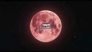 🍓 Toravo &ndash; Strawberry Moon (Slowed)