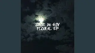 Goodbye Moon