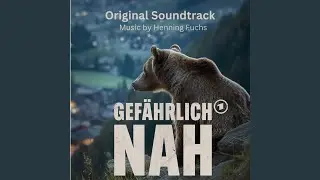 Suchaktion