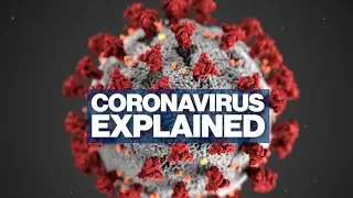 Positive and Negative impacts of Coronavirus - Dr. Aajay Shah