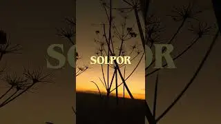 Mixtape 01 - 01 Solpor  