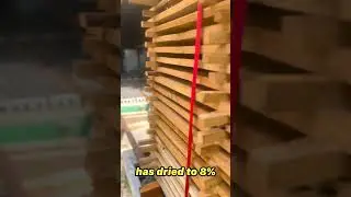 Tips About Kiln Drying - White Oak