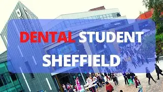 The first year at SHEFFIELD DENTAL SCHOOL