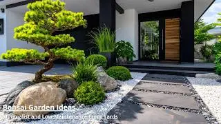 21 Stunning Bonsai Tree Ideas for Modern Front Yard Landscaping