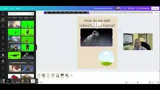 How do we add videos or GIFs to Canva?