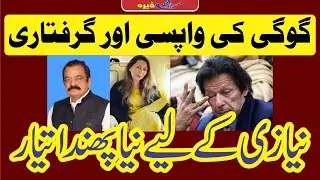 گوگی کی واپسی ! نیازی کے لیے نیا پھندا تیار