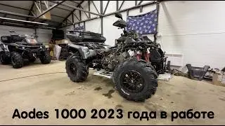 Aodes 1000 2023 года. Переделываем чужие косяки, делаем обслуживание, ставим допы