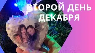 742.ДЕКАБРЬ 2023. ДЕНЬ 2Й. ДОМАШНЕ-УКРАШАТЕЛЬНЫЙ.