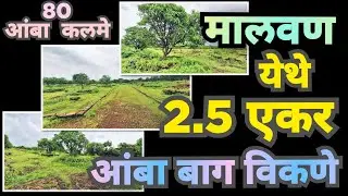 मालवण येथे  2.5 एकर  बाग  विक्रीस  उपलब्ध 