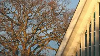 30-06-2024 | Reverend Julian Hubbard's Talk from 10:00am Sunday Service.