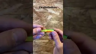 Mes 5 leurres indispensables pour la perche ! #fishing #nature