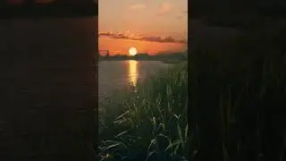 The most beautiful sunset in the world 🌄 #shorts #youtubeshorts #chillvideo #chill #relax