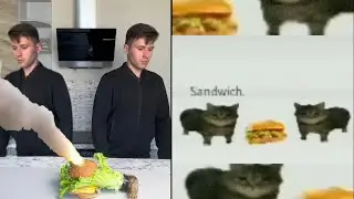 Sandwich meme. Original video!