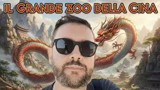 The Great Zoo of China