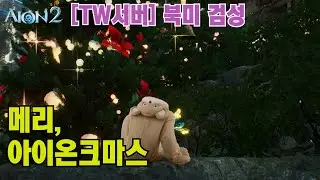 [TW서버] 글로벌검성 - 메리 크리스마스 #아이온2 #aion2 #북미 #US #유저