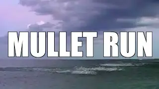 The Mullet Run