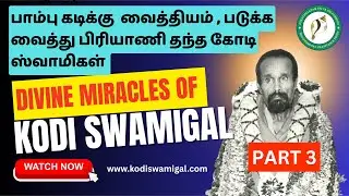 #Kodiswamigal saves a boy bitten by a snake by giving #biryani #divinemiracles #kodithatha #kodi