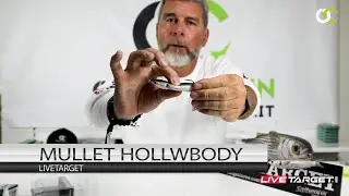 Livetarget Swimbait  Mullet hollowbody