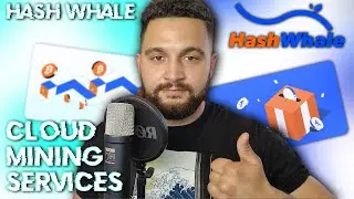 Hash Whale / What I Cloud Mining & What Hash Whale Offers? / Project Review
