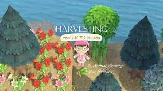 How to get Young Spring Bamboo in Animal Crossing: New Horizons (ACNH)