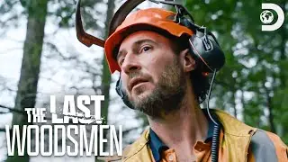 Trees with a Mind of Their Own 🧠 | The Last Woodsmen | Discovery