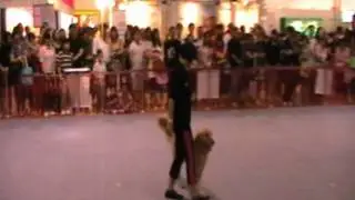 DK9-Pet World Malaysia PetNYou OB Trial 2011 -  Patricia  Chen & Duchess.mpg