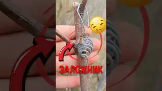 🐝 Как рождается пчелиная семья в природе! #пчелы #пчеловодство #природа