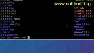 How to make alias parmanent in Mac OSX Terminal