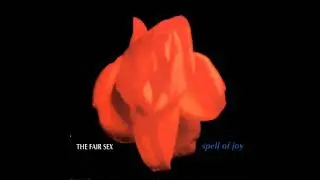 The Fair Sex - Spell of Joy (1992) full album
