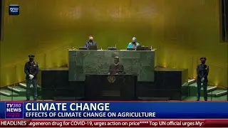 How climate change has affected agriculture in Nigeria