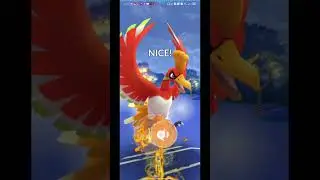 GBL Master League 33! #pogo #pokemon #pokemongo #gbl #zamazenta #eternatus #hooh #master #league
