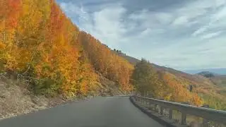 Driving in Brighton Oregon Fall Colors
