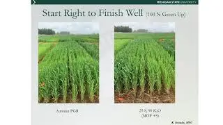 2020 Field Day - Start right to finish well with nutrient management of wheat