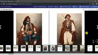 Viewer navigation controls in NID book viewer