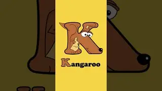 Animals that start with K - Kangaroo, Kingfisher, Kiwi, Koala #Shorts