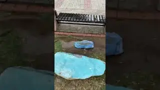 Taş Boyama Sanatı / Çocuklara Özel