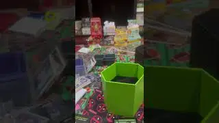Degree Grading first submissions unboxing #gradedcards #sportscards #pokemon #slabs