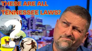 These Bizarre Tennessee Laws Will Make You Laugh Out Loud!
