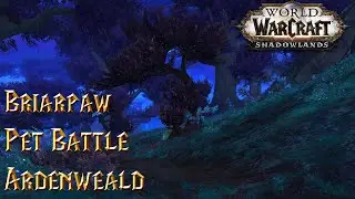 Вересковая Лапа - WoW Shadowlands
