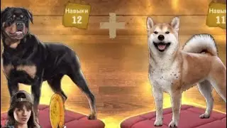 TWD: S - Топ собака и навык за 200000😍