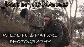 JACK IN THE NATURE | -Fotografia Naturalistica - Outdoor