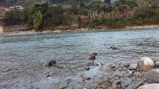🔴 LIVE: Flowing river sounds with calming piano music &mdash; perfect for sleep, study, and meditation.